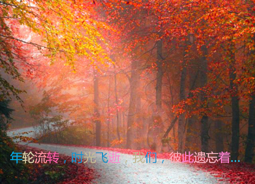 初一观后感:《小时代》 观后感
