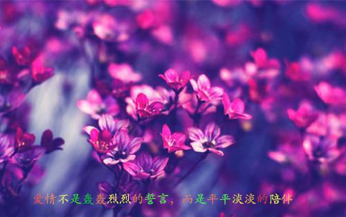一仆侍二主用英语怎么说,一仆侍二主的英文翻译