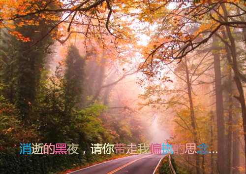 六年级诗歌:月夜独谈