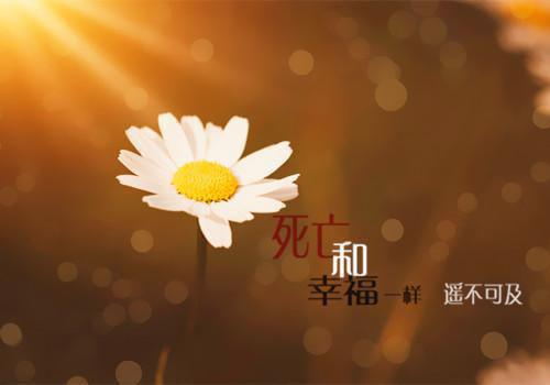 高一想象作文:我的一个梦