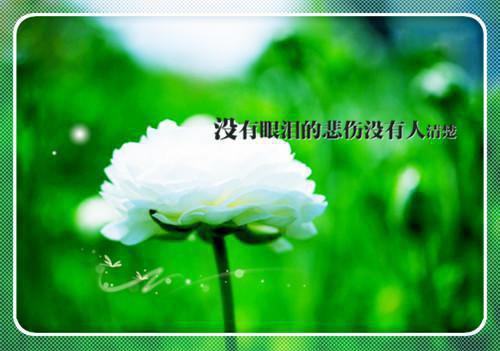 关于野心与志向的励志名句名言