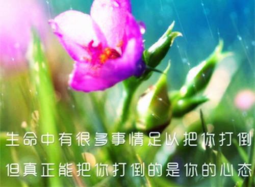 隔膜的友谊