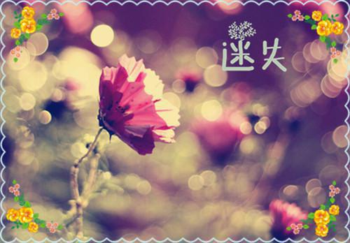 小用英语怎么说,小的英文翻译