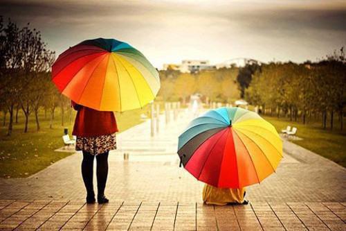 三年级写景作文:六月的雨