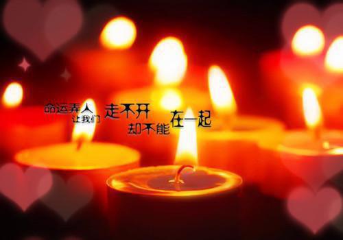 《万物简史》读后感300字优选【15篇】