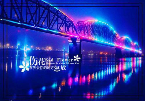 2022年简洁的感人的情感语录摘录98条