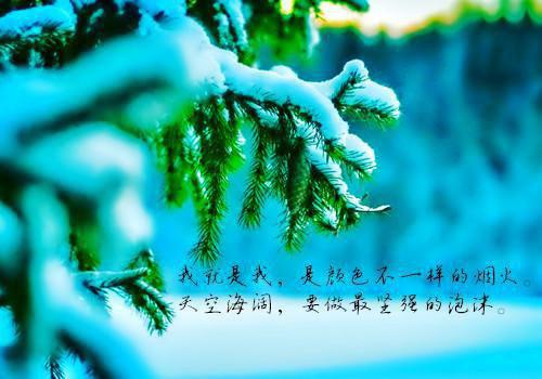 枣阳用英语怎么说,枣阳的英文翻译