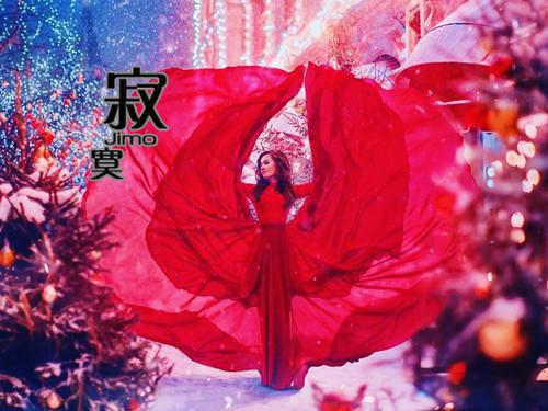 初二写景作文:故乡的冰糖葫芦
