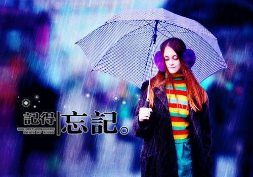 初三读书笔记:《夏洛的网》读书笔记 17