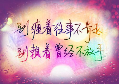 初二议论文:要理智追星