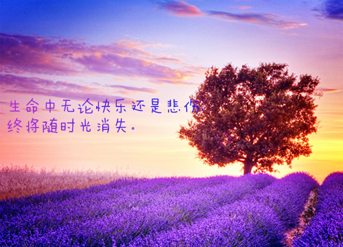 四年级观后感:泰坦尼克号观后感（三）