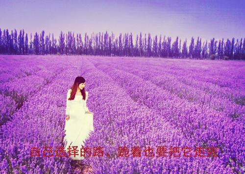 女生节的惊喜