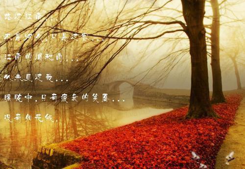 蒙受用英语怎么说,蒙受的英文翻译