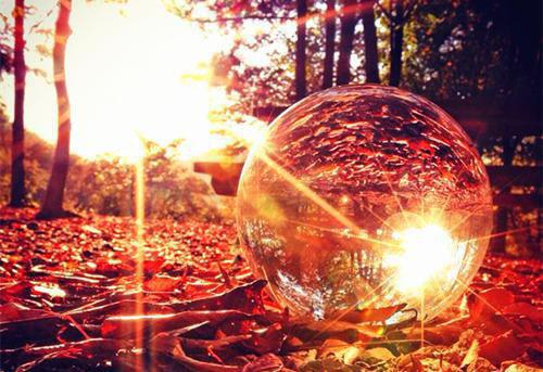 应阮姬砚庭全文免费在线阅读