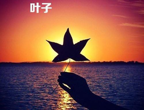 有关梦想的英语名言有哪些
