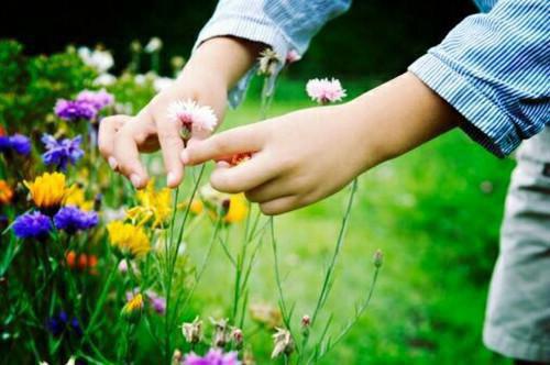 公告用英语怎么说,公告的英文翻译