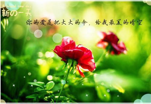 母鸡和小鸡的童话故事