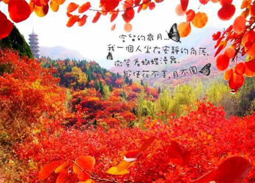 泄用英语怎么说,泄的英文翻译