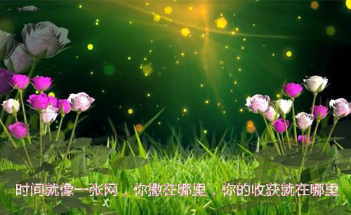 我的猜想