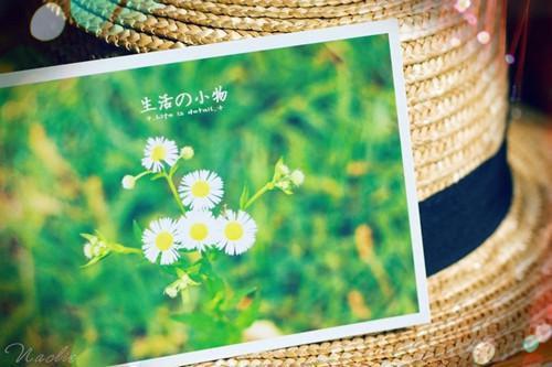 高三观后感:《悲伤逆流成河》观后感 3