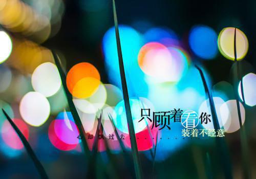 初一想象作文:开在心中的花