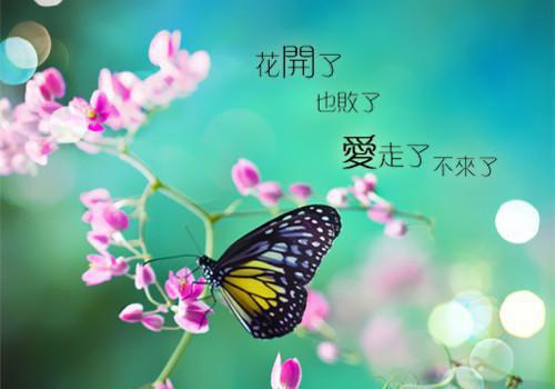 关于弟弟的作文:我的小弟弟