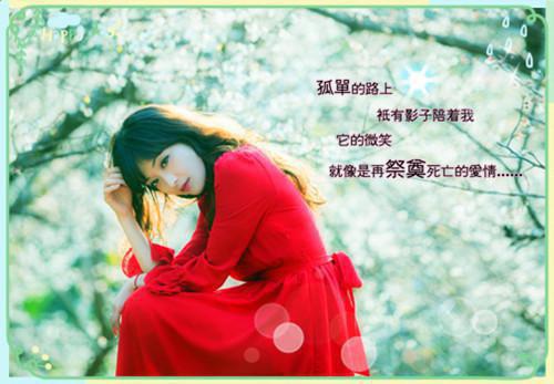 携用英语怎么说,携的英文翻译