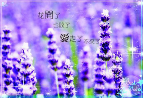 初二日记:这件小事让我醒来
