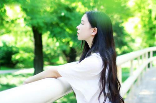 四年级日记:飘香藤