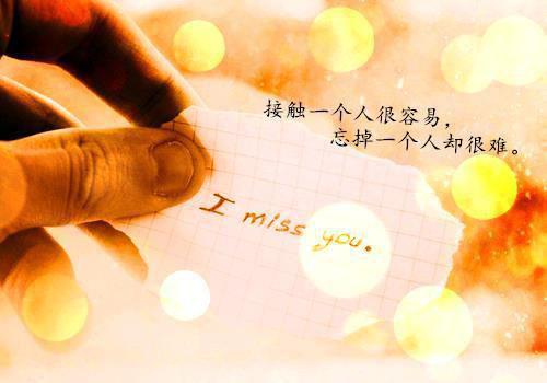 权益用英语怎么说,权益的英文翻译