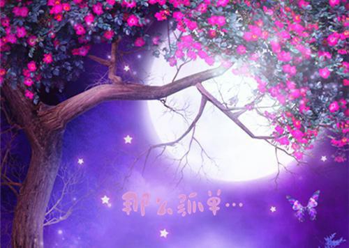 使穿衣服用英语怎么说,使穿衣服的英文翻译
