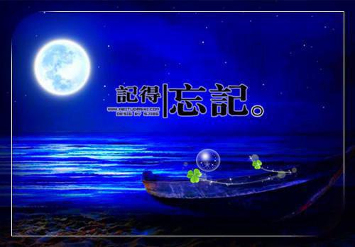 馈用英语怎么说,馈的英文翻译