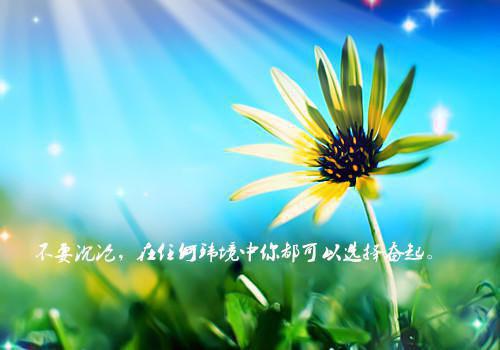 为他的青梅牺牲20次后，我掀桌了全文免费在线阅读