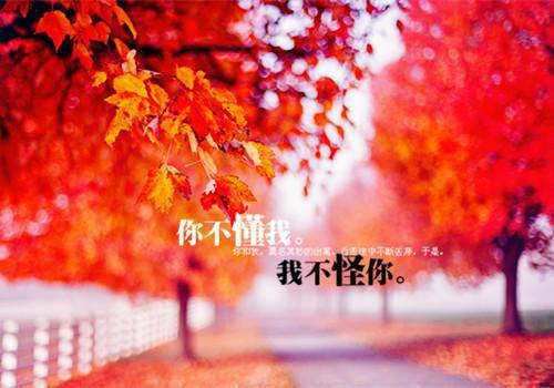 消防用英语怎么说,消防的英文翻译