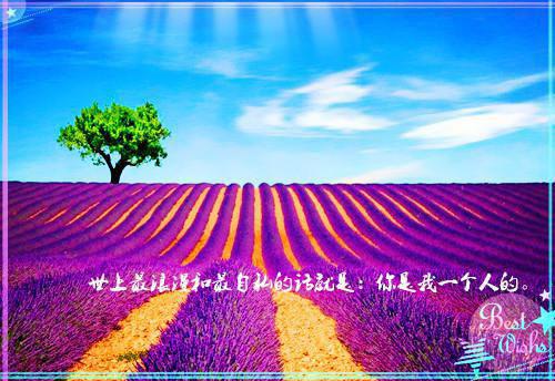 做我的生日蛋糕