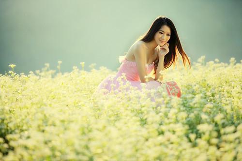 初一写景作文:门前的竹林