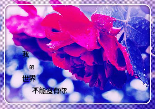周末