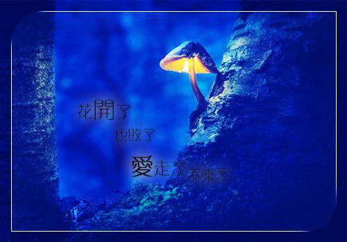 三氮烯基用英语怎么说,三氮烯基的英文翻译