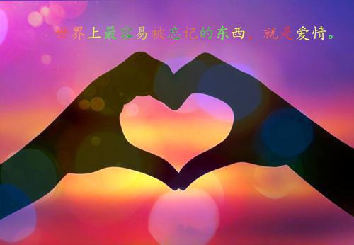 为…奋斗用英语怎么说,为…奋斗的英文翻译