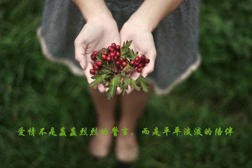 六年级状物作文:我是一个小闹钟