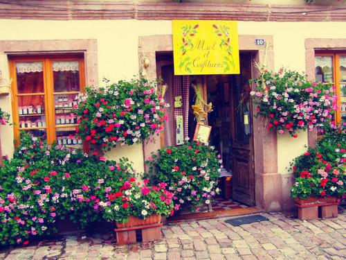 江梨沈寒墨全文免费在线阅读