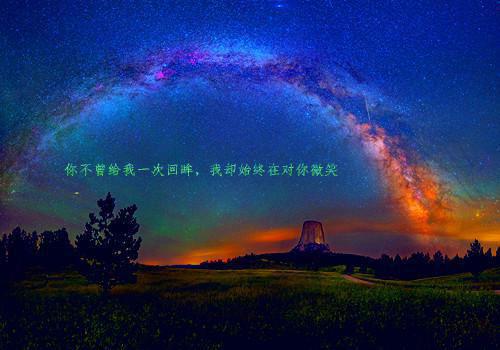 同类用英语怎么说,同类的英文翻译