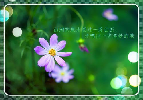 考前夜晚的随想