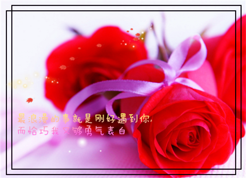 双语用英语怎么说,双语的英文翻译