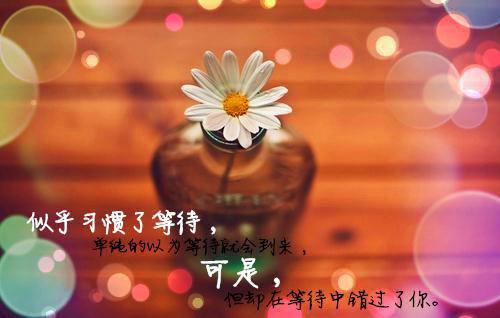 关于爱情挽回的说说