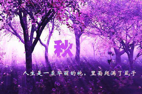 效忠用英语怎么说,效忠的英文翻译
