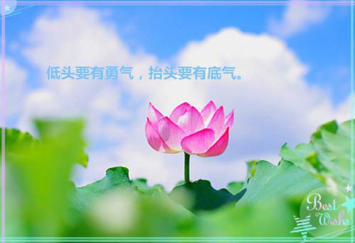 高一叙事作文:似水流年