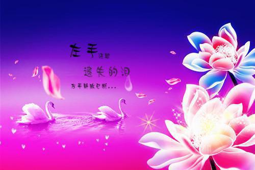 杜牧关于夏天的诗词《齐安郡后池绝句》鉴赏