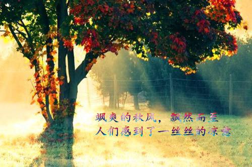对不起小黑兔