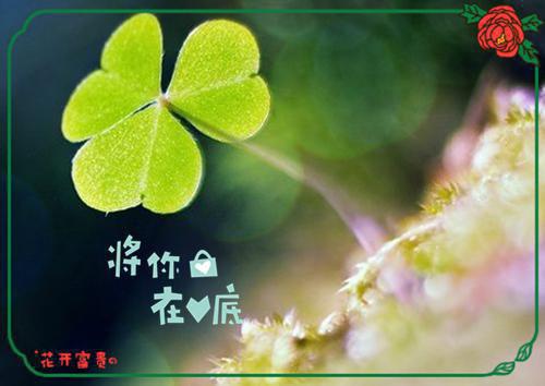 习惯